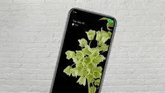 Er verscheen plotseling een groen puntje op het scherm van mijn telefoon: moet ik me zorgen maken?